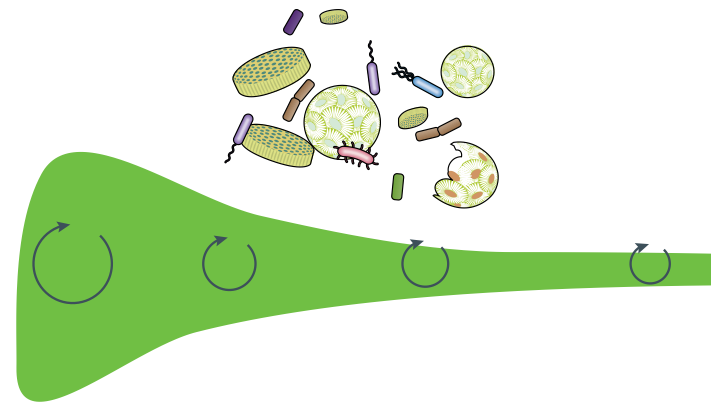 Featured illustration for: Enigmatic persistence of dissolved organic matter in the oceans